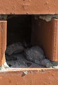 Cheap Dryer Vent Cleaning In Vista