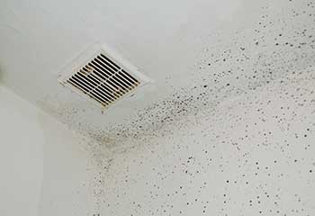 Vent Cleaning | Air Duct Cleaning Oceanside, CA Vent Cleaning | Air Duct Cleaning Oceanside, CA